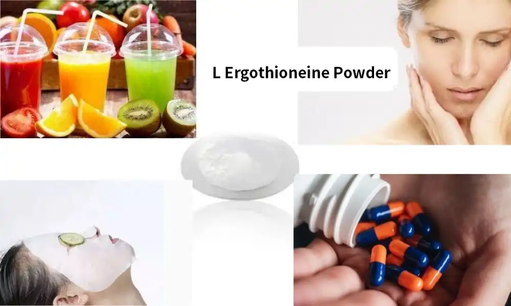 How to Use L Ergothioneine Powder for Overall Wellness?